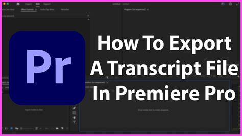 How to Export Transcript from Premiere Pro: A Detailed Guide with Insights